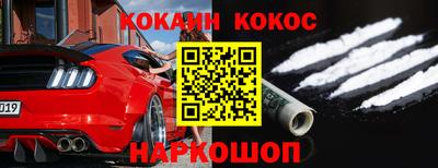 шишки Заволжье