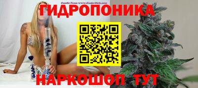мяу мяу мука Жуковский