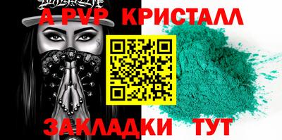 шишки Заволжье