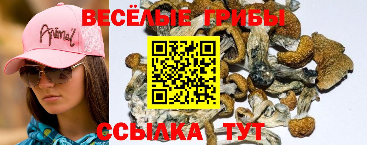 Экстази  COCAIN  АМФ кристаллы  Мефедрон   Лосино-Петровский  Вход с VPN  Гашиш  Мефедрон 