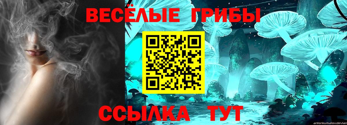 Лосино-Петровский  Галлюциногенные грибы мухоморы  Вход с VPN 