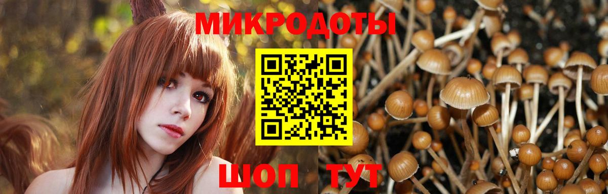 Галлюциногенные грибы GOLDEN TEACHER Лосино-Петровский